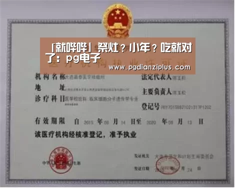 pg电子官网