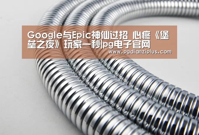 Google与Epic神仙过招 心疼《堡垒之夜》玩家一秒|pg电子官网(图3) pg电子