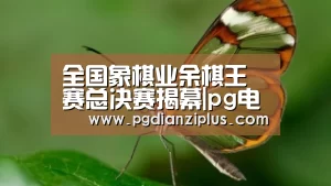 pg电子官网