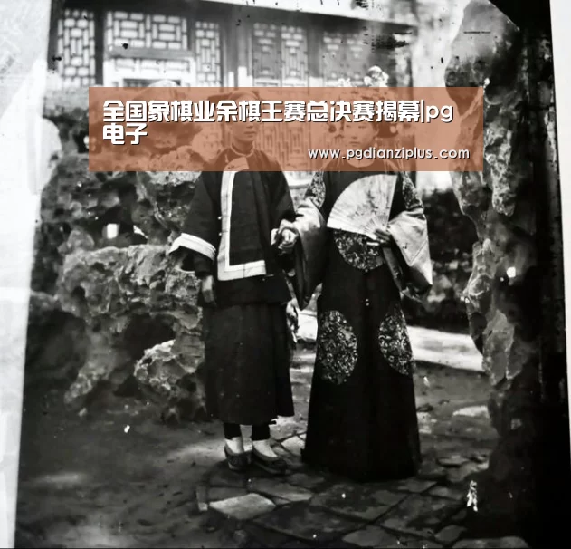 pg电子官网