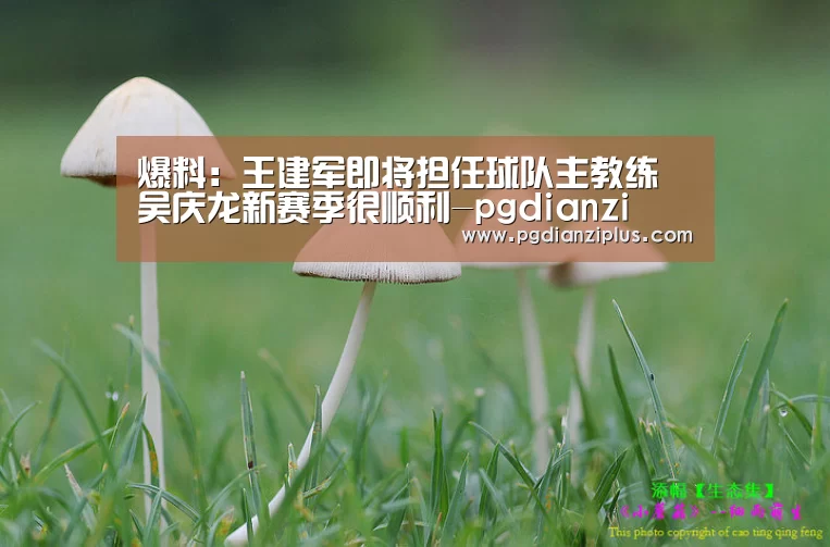 爆料:王建军即将担任球队主教练 吴庆龙新赛季很顺利-pgdianzi(图1) pg电子