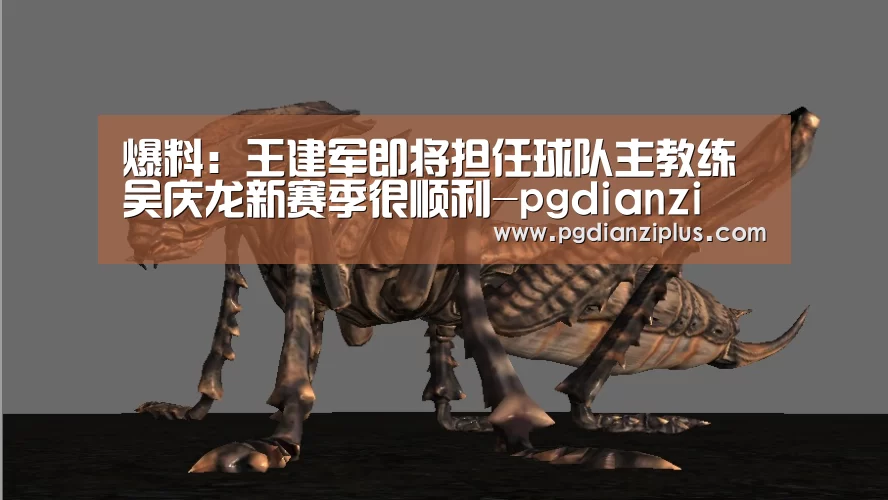 爆料:王建军即将担任球队主教练 吴庆龙新赛季很顺利-pgdianzi(图3) 爆料:王建军即将担任球队主教练 吴庆龙新赛季很顺利-pgdianzi(图3)