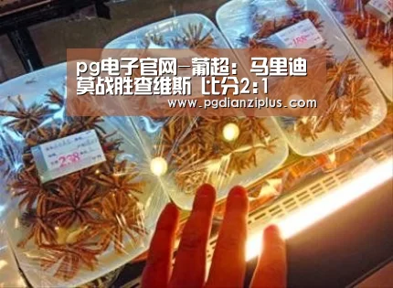 pg电子官网
