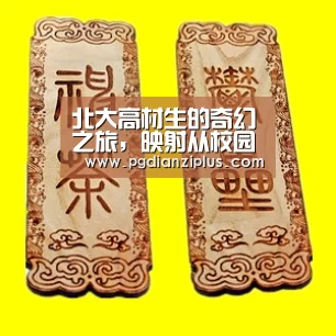 北大高材生的奇幻之旅,映射从校园到CBA的难堪现实-pg电子官网(图1) 北大高材生的奇幻之旅,映射从校园到CBA的难堪现实-pg电子官网(图1)