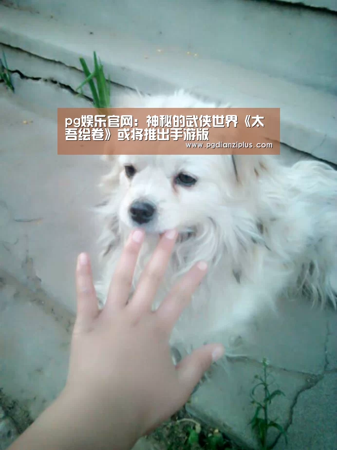 pg娱乐官网:神秘的武侠世界《太吾绘卷》或将推出手游版(图1) pg娱乐官网